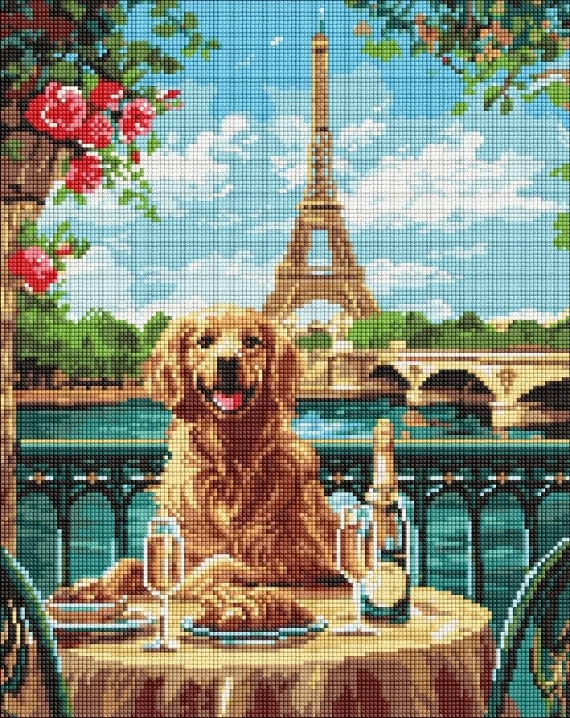 Mozaika diamentowa Retriever w Paryżu 40 x 50 cm