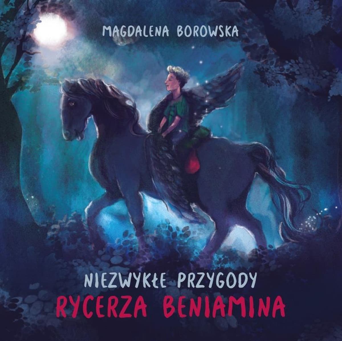 Niezwykłe przygody rycerza Beniamina - książka dla dzieci