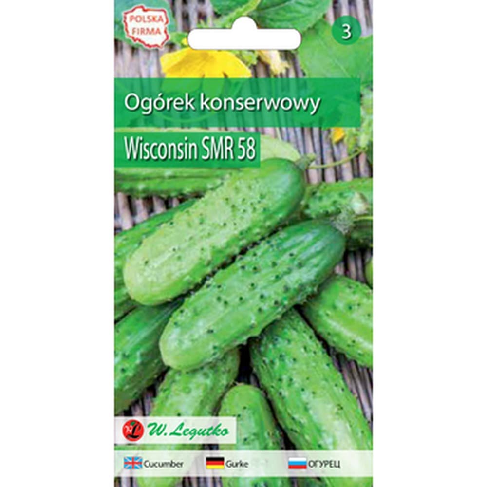 Ogórek gruntowy W. Legutko nasiona 5g