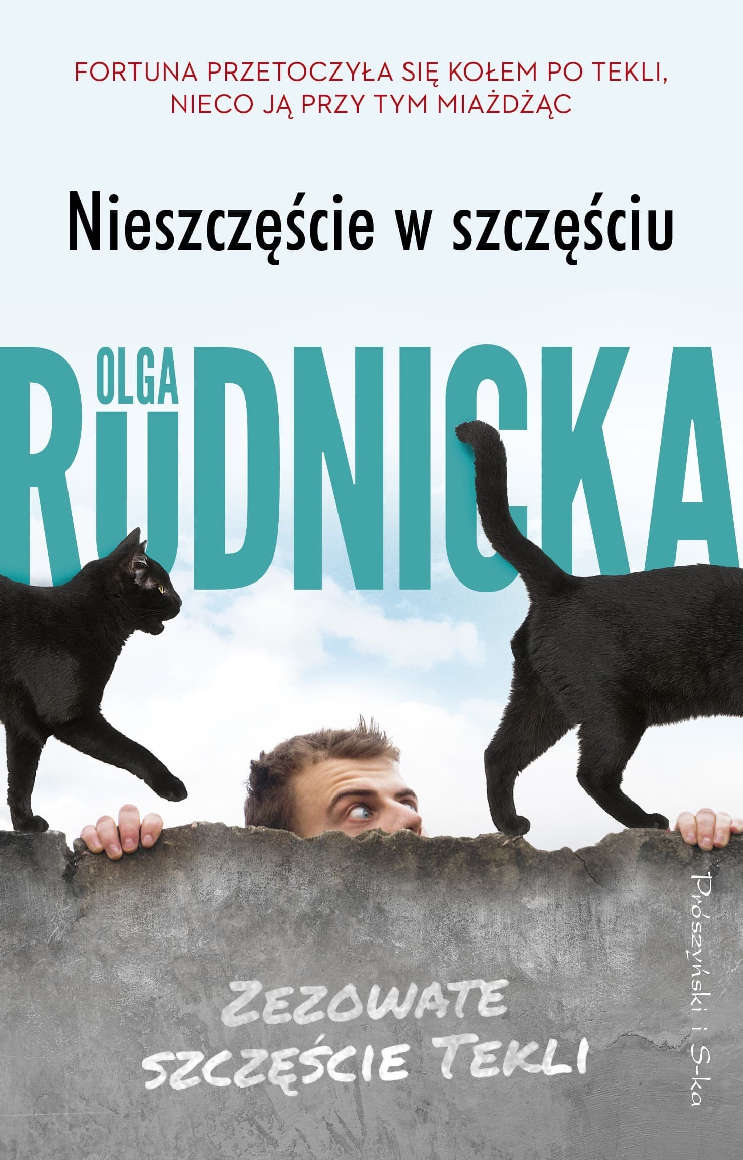Olga Rudnicka: Nieszczęście w szczęściu - Powieść Kryminalna