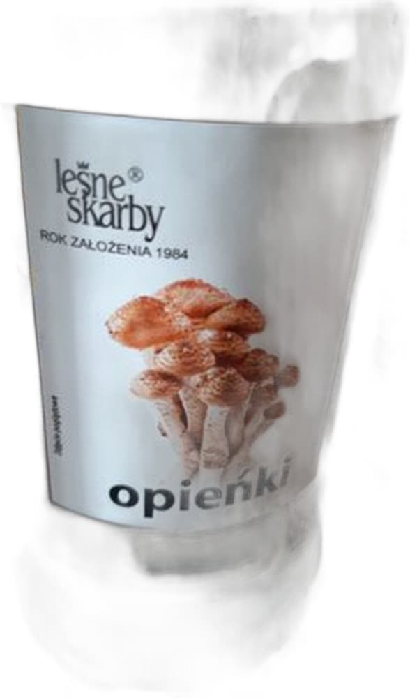 Leśne skarby Opieńki marynowane całe 280g