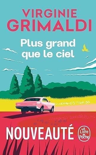 Plus grand que le ciel - Virginie Grimaldi książka francuska 312 stron