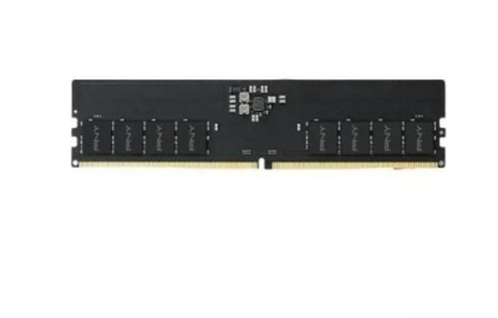 PNY Performance 32GB DDR5 5600MHz CL46 - Pamięć RAM