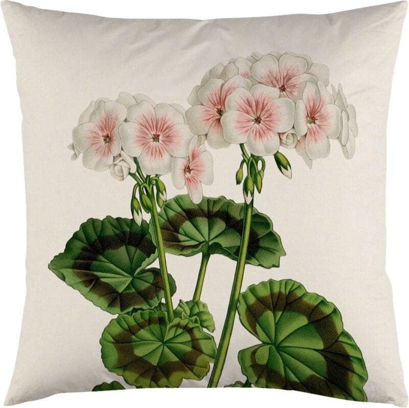 Poszewka na poduszkę 50x50cm - Biała pelargonia