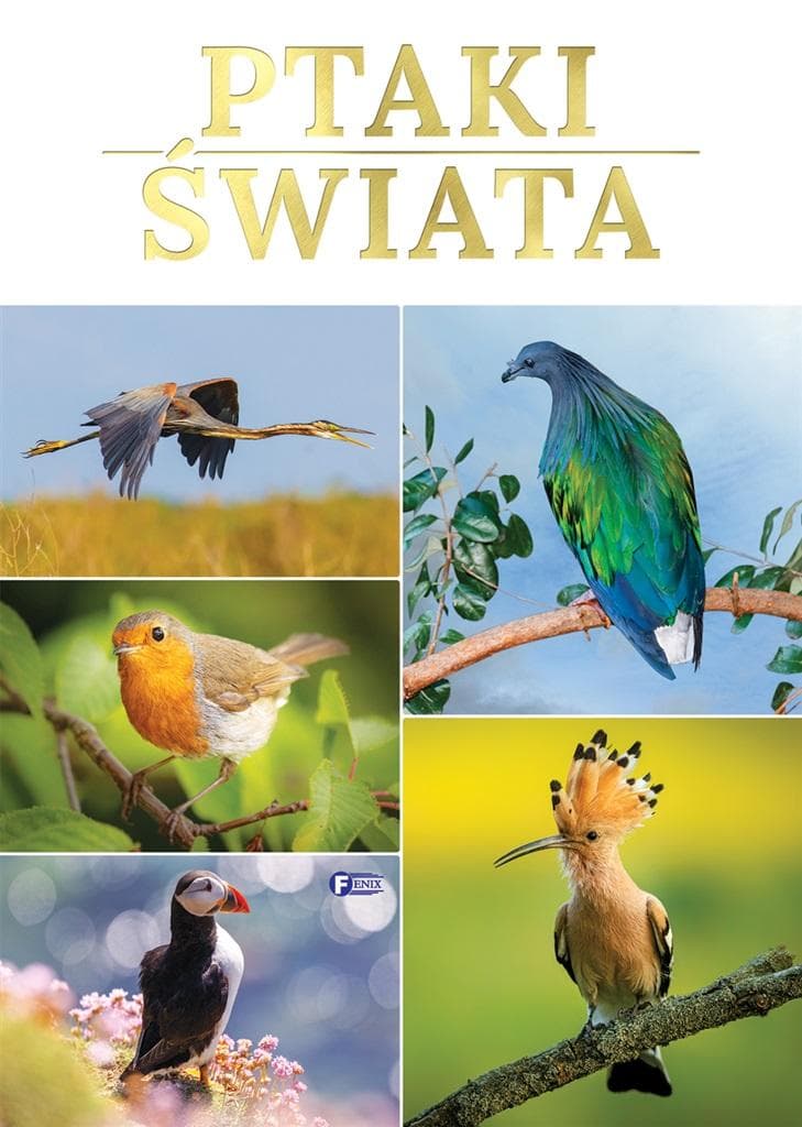 Album o ptakach świata dla dzieci, 64 strony, twarda oprawa