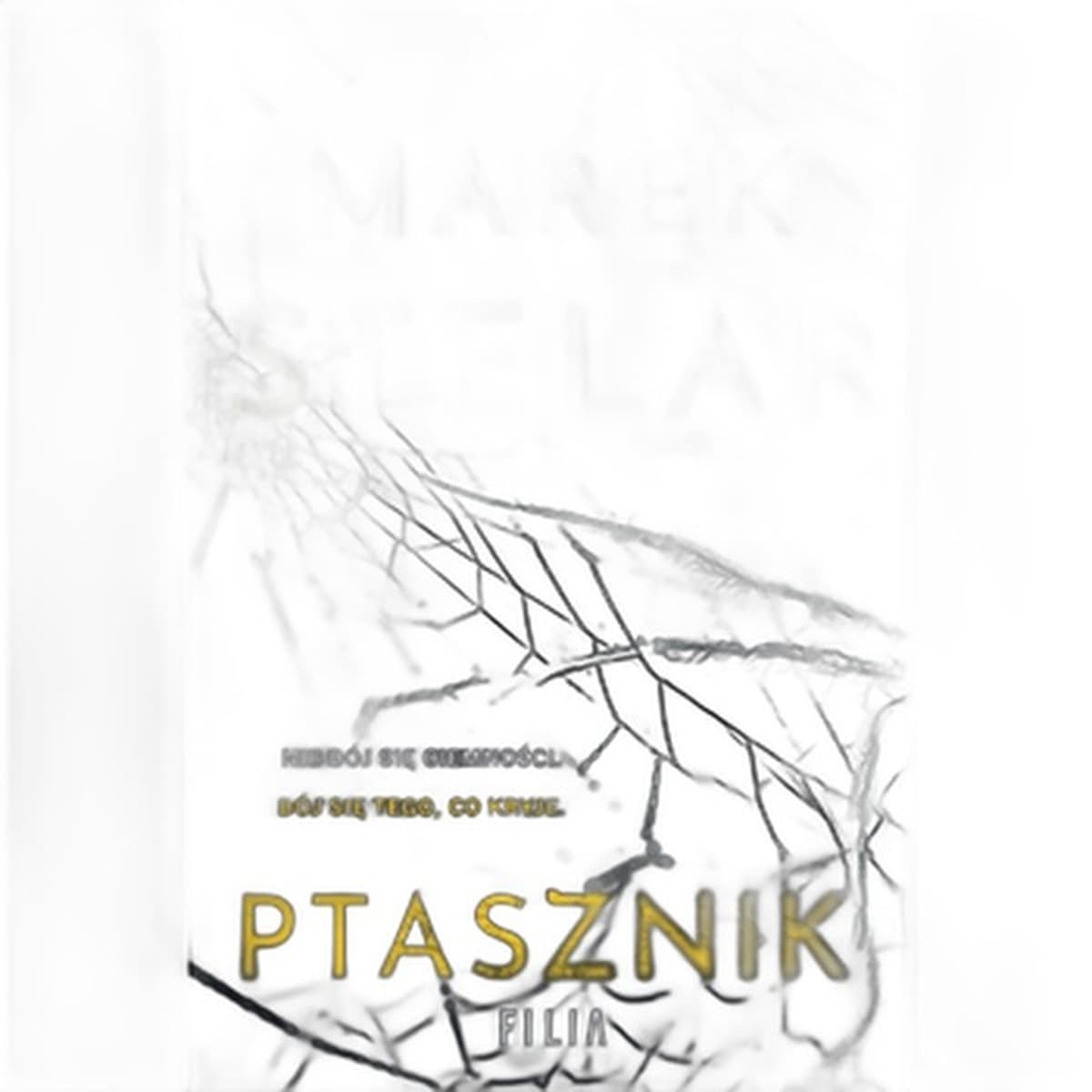 Ptasznik - Marek Stelar kryminał 2024