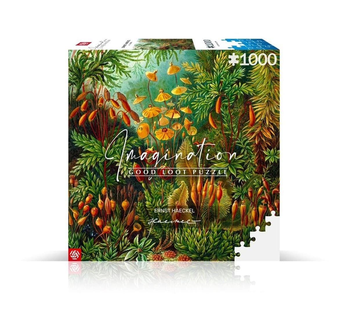 Puzzle 1000 elementów Imagination Ernst Haeckel Muscinae