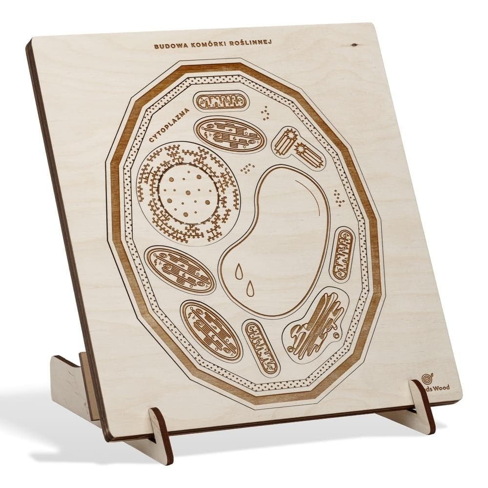 Drewniane puzzle Budowa komórki roślinnej 20 elementów