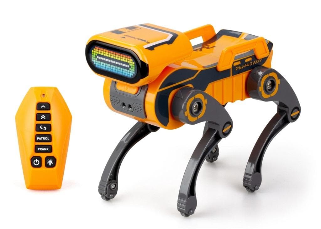 Robot interaktywny Robo Express pomarańczowy