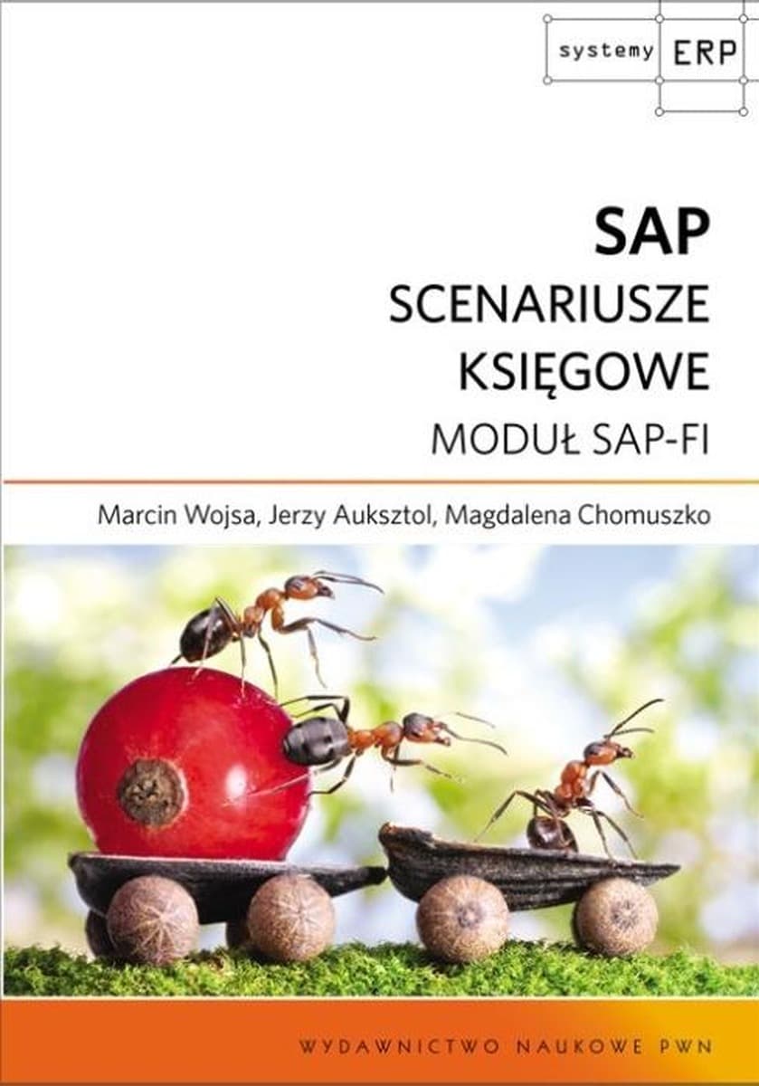 SAP Scenariusze księgowe Moduł SAP-FI - Jerzy Auksztol, Magdalena Chomuszko, Marcin Wojsa