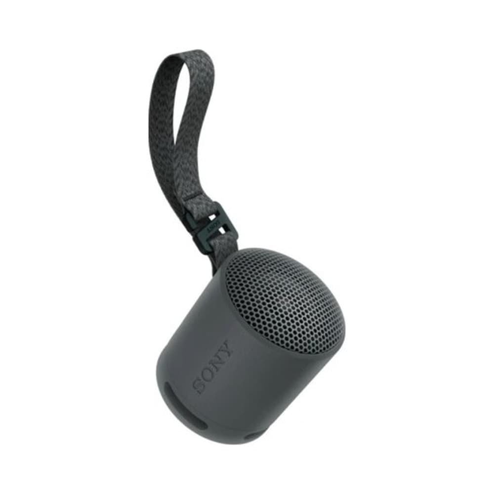 Sony SRS-XB100 Głośnik mono przenośny Czarny