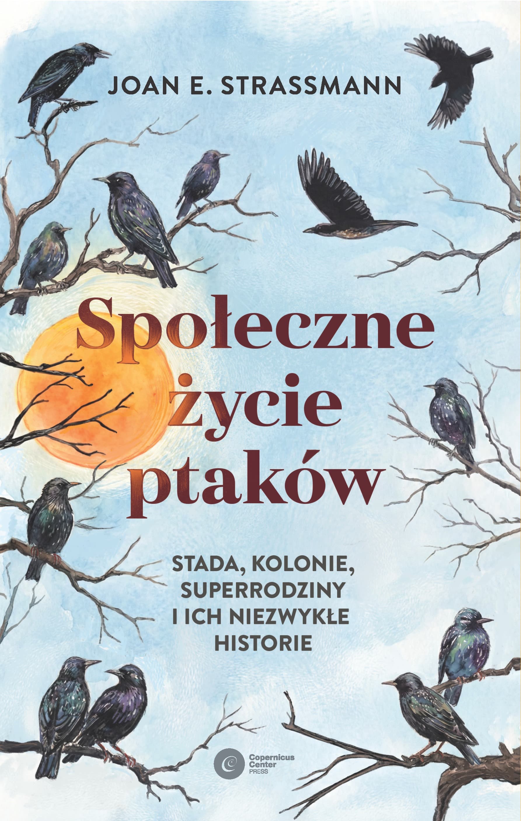 Społeczne życie ptaków. Stada, kolonie, superrodziny i historie