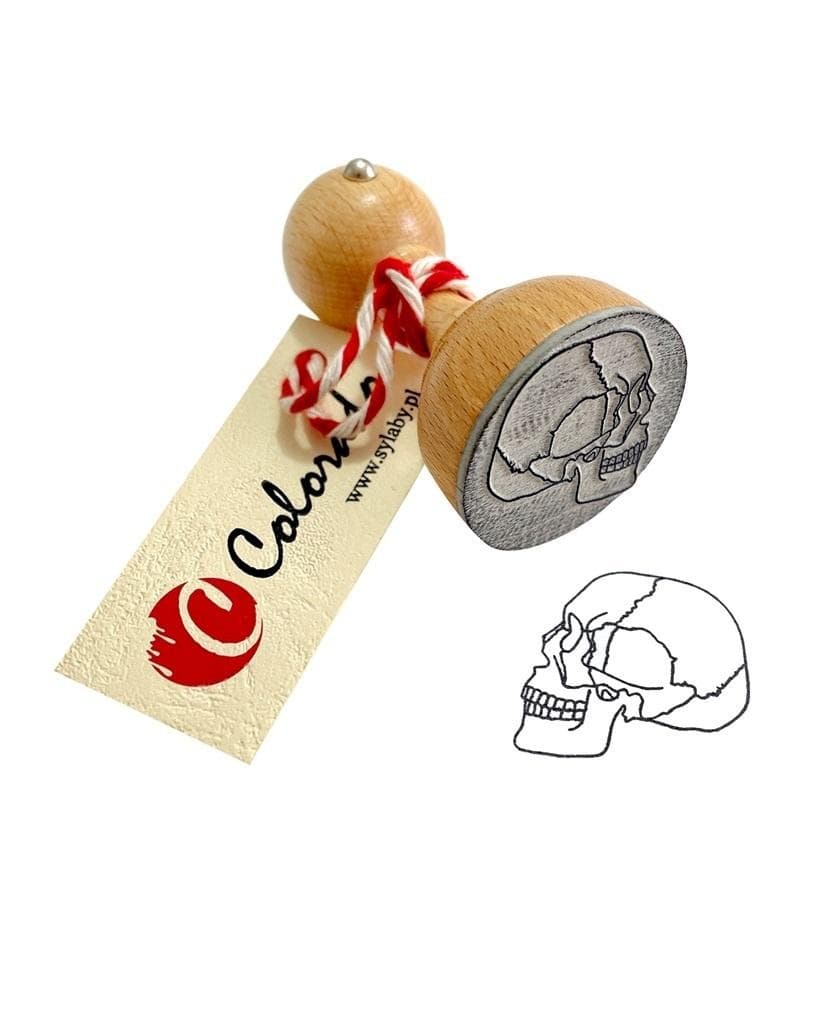 Stempel do nauki budowy czaszki człowieka