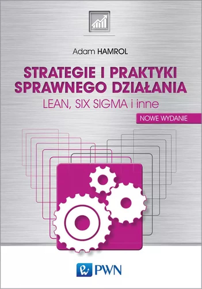 Strategie i praktyki sprawnego działania - poradnik zarządzania