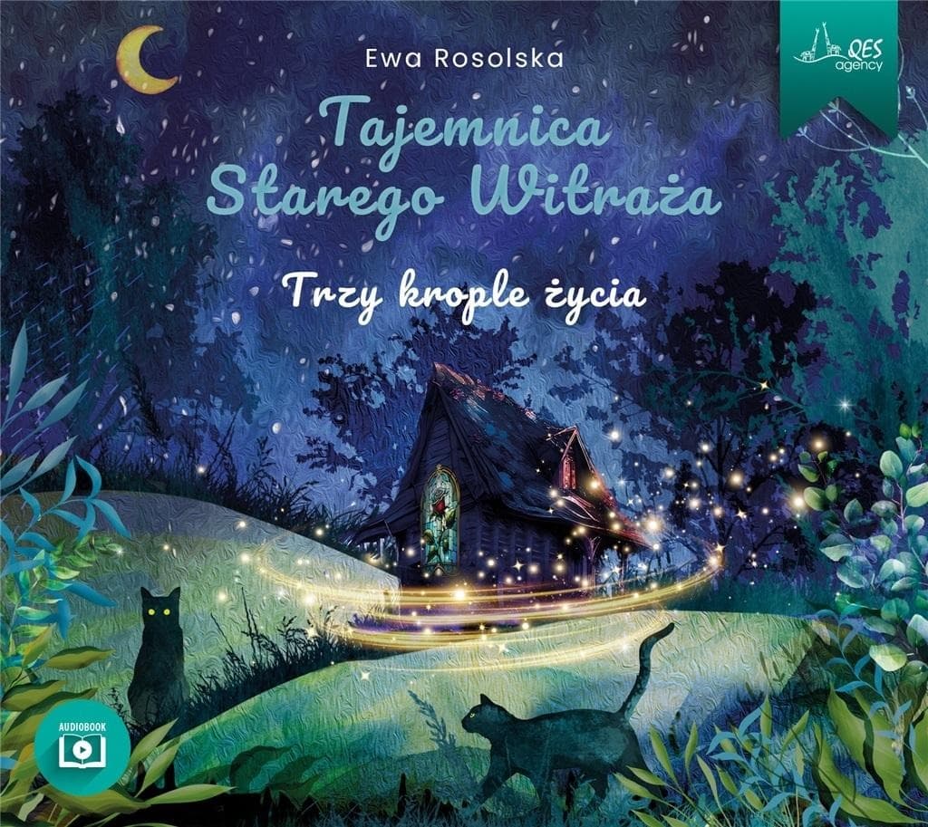 Tajemnica Starego Witraża. Tom 1 CD - Ewa Rosolska