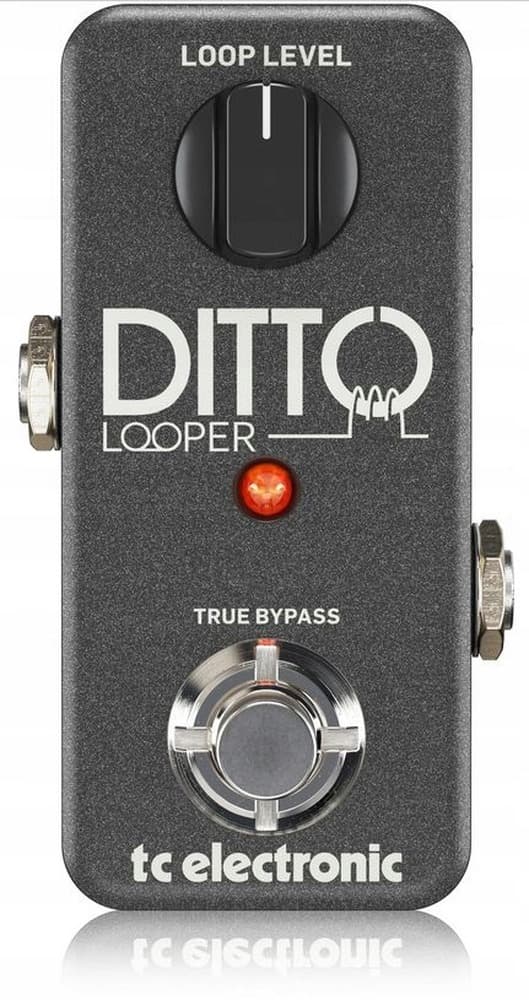 TC Electronic Ditto Looper Pętla efekt gitarowy