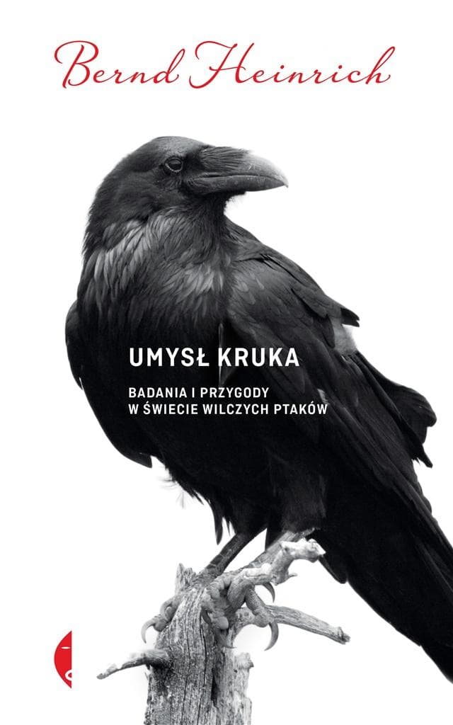 Umysł kruka - badania i przygody w świecie wilczych ptaków