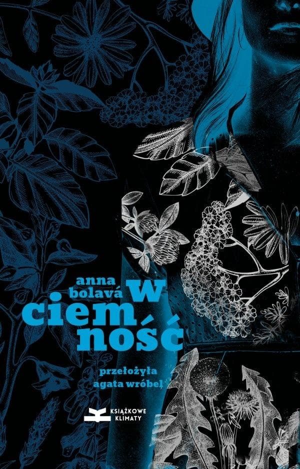 W ciemność - Anna Bolav powieść 352 strony