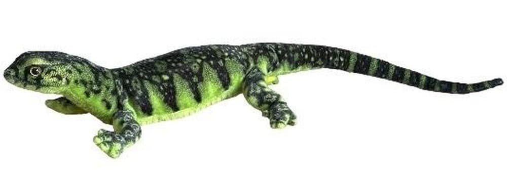 Waran zielony do terrarium 80 cm