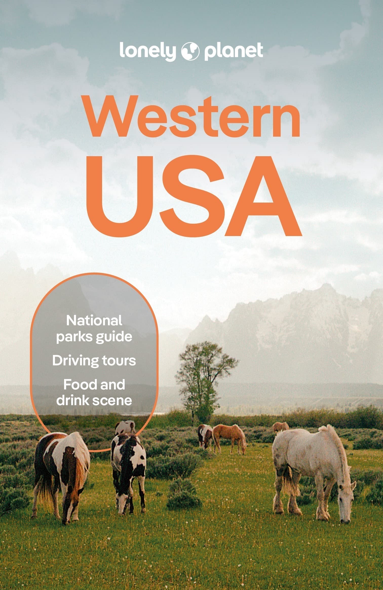 USA. Lonely planet