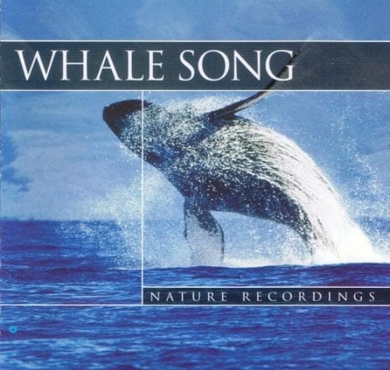 Whale Song - Nagrania Natury z Dźwiękami Wielorybów CD