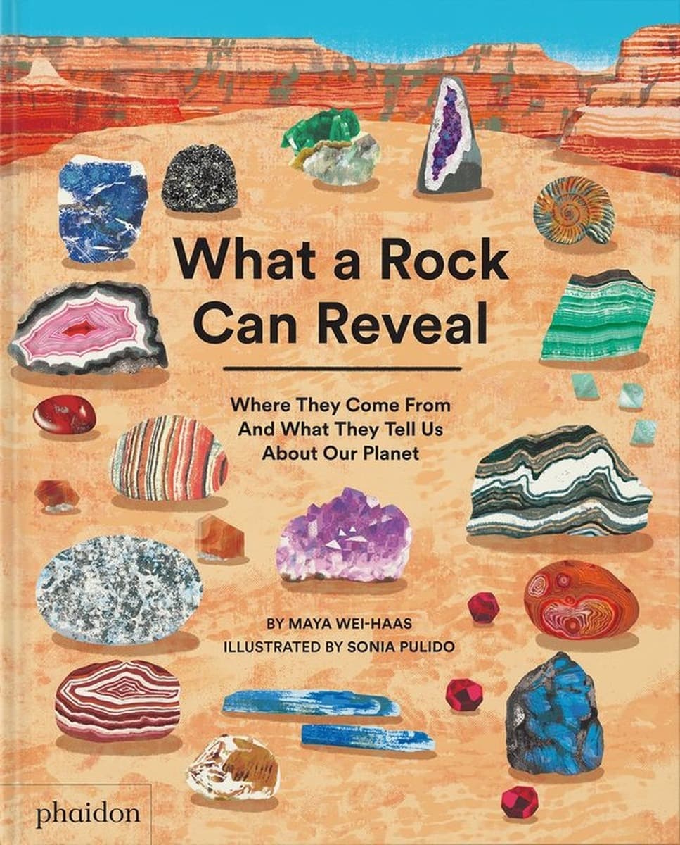 What a Rock Can Reveal Where They Come From And What They Tell Us About Our Planet wer. angielska