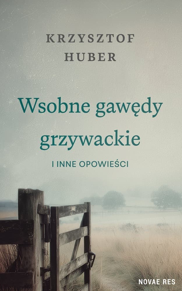 Wsobne Gawędy Grzywackie Powieść Novae Res
