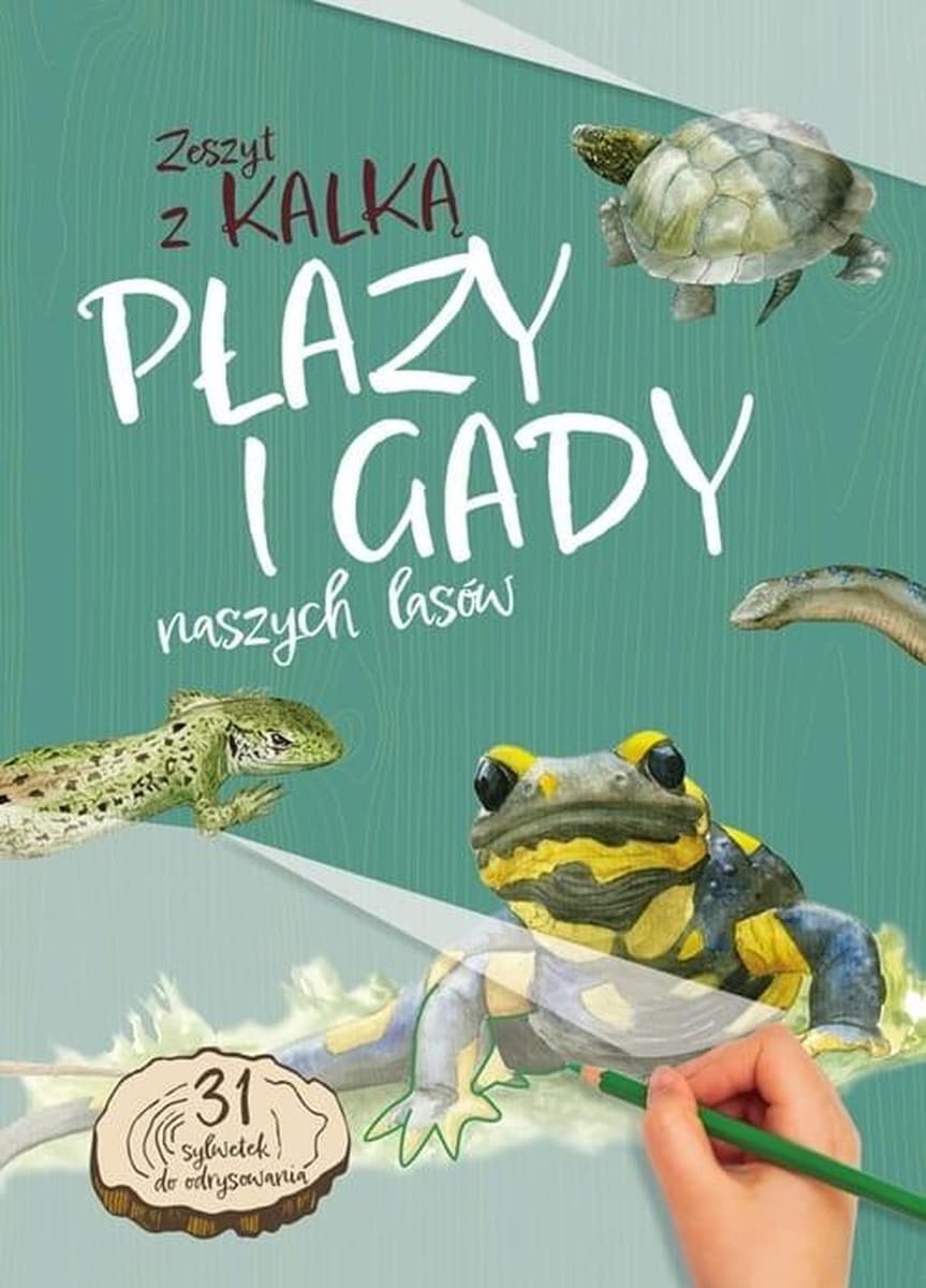 Zeszyt z Kalką Płazy i Gady Naszych Lasów Wydanie 2025