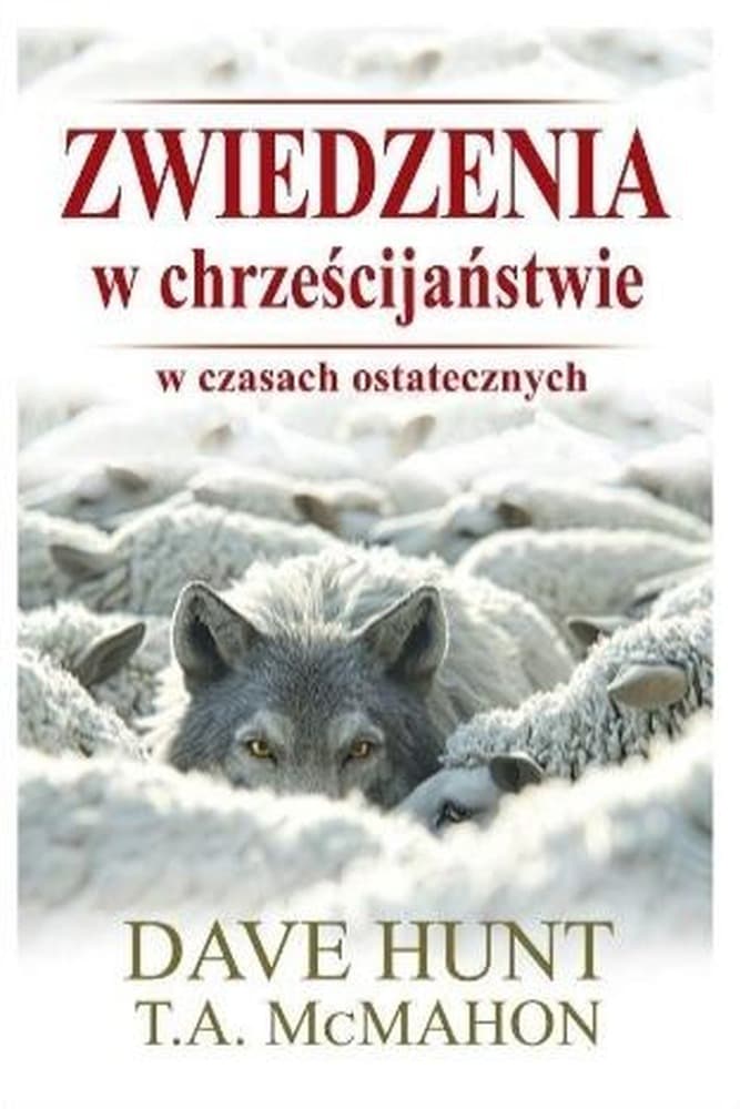 Zwiedzenia w Chrześcijaństwie w Czasach Ostatecznych