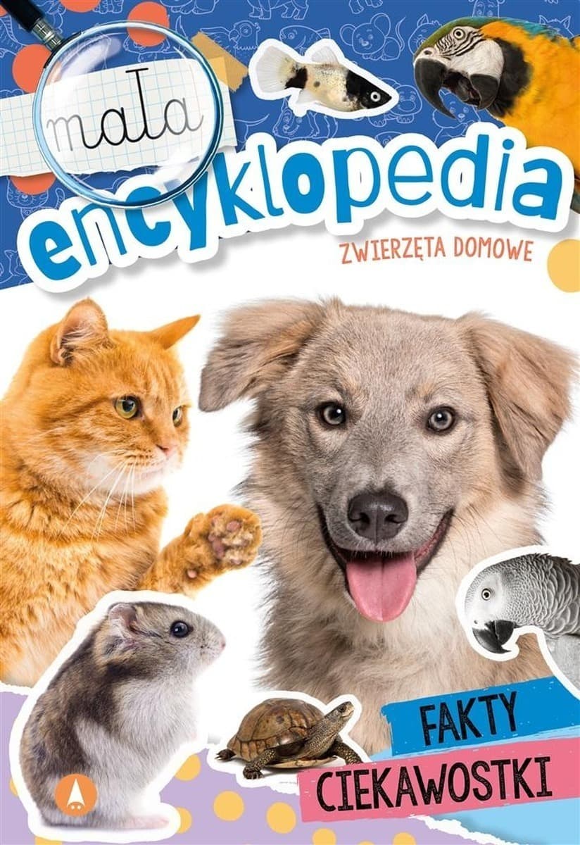 Zwierzęta domowe. Dla dzieci